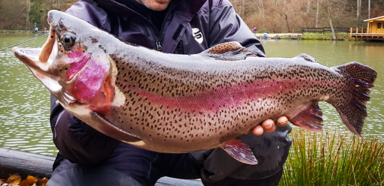 Fisch Schonzeiten in NRW Forellenteiche in der Nähe